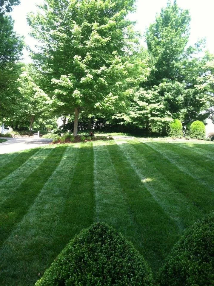 Custom landscaping services in Spartanburg, SC by Shurgreen