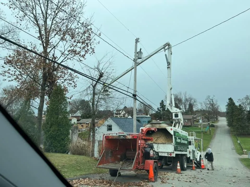 Custom lawn care service in New Kensington, PA by Shurina Brothers