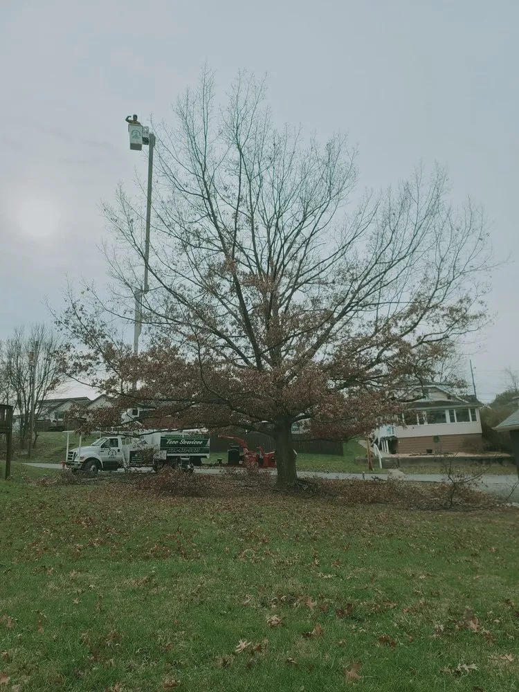 Professional outdoor landscaping experts serving New Kensington, PA - Shurina Brothers