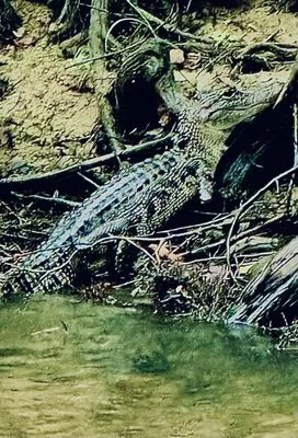 Shurtleff Landscaping