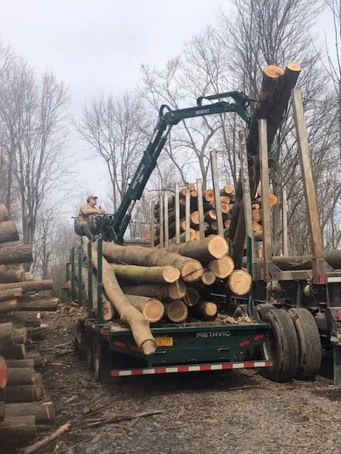 Reliable lawn mowing service for homes in Baldwinsville, NY by Shute Landscaping