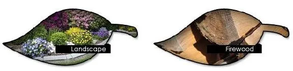 Professional outdoor landscaping experts serving Baldwinsville, NY - Shute Landscaping