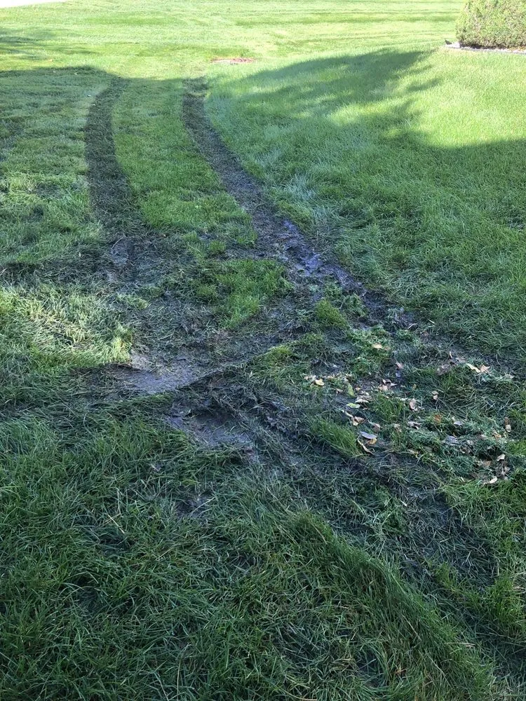 Expert landscaping services experts serving Richfield, MN - Shwaders Lawn Care And Landscape