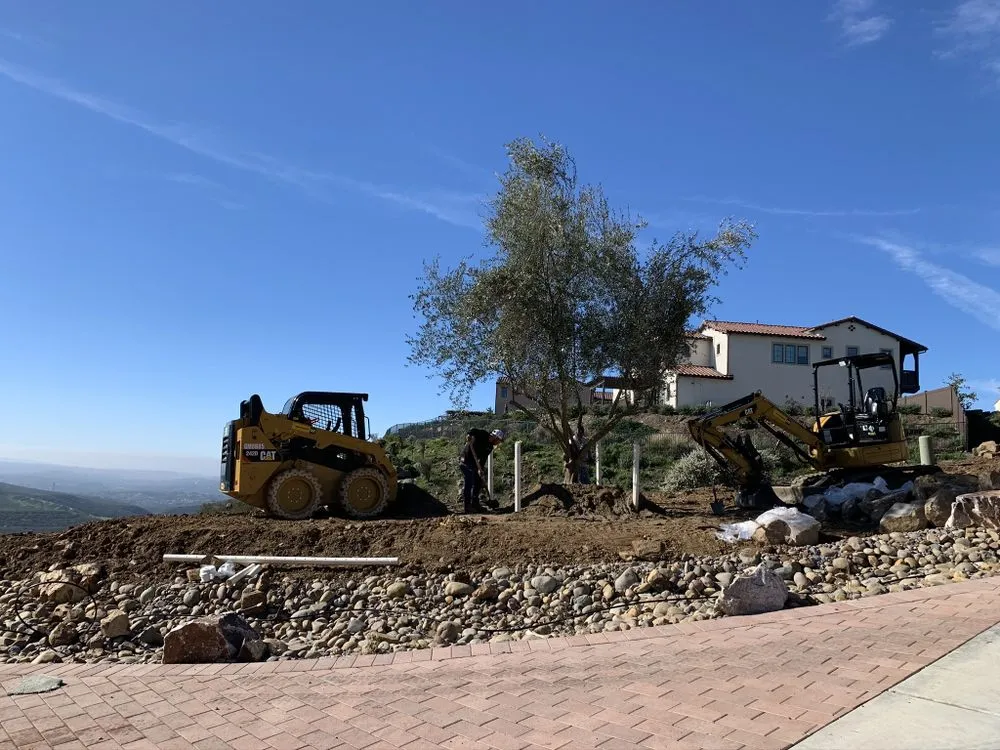 Reliable yard cleanup service experts serving Chula Vista, CA - SHZCO