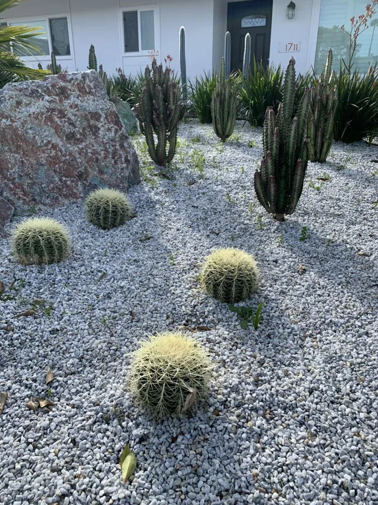 Local lawn care service in Chula Vista, CA by SHZCO