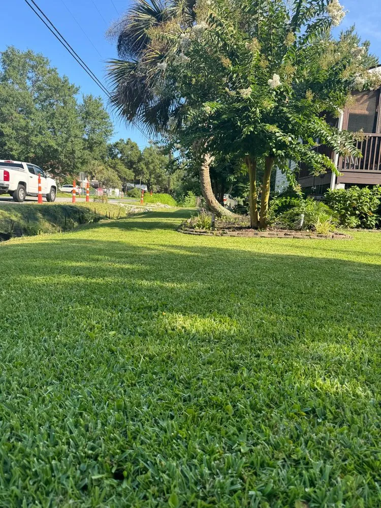 Affordable yard cleanup service for homes across North Charleston, SC - S&I Landscaping