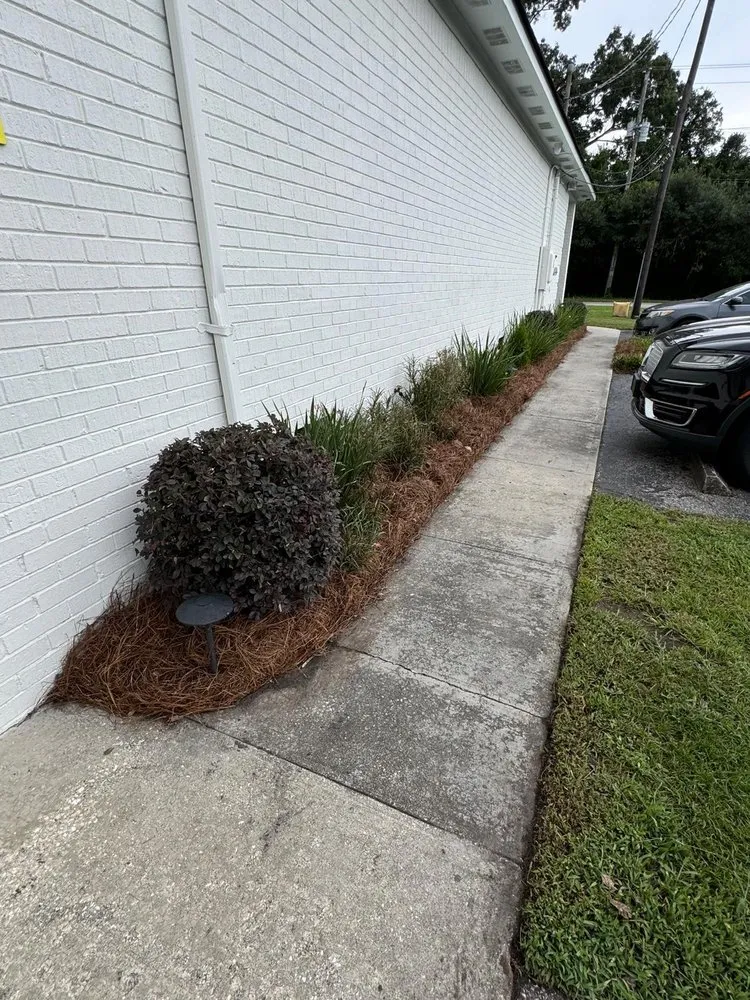 Affordable lawn care service experts serving North Charleston, SC - S&I Landscaping