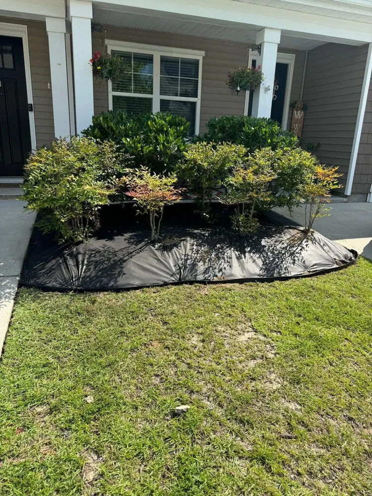 Top-rated outdoor landscaping for beautiful yards across North Charleston, SC - S&I Landscaping