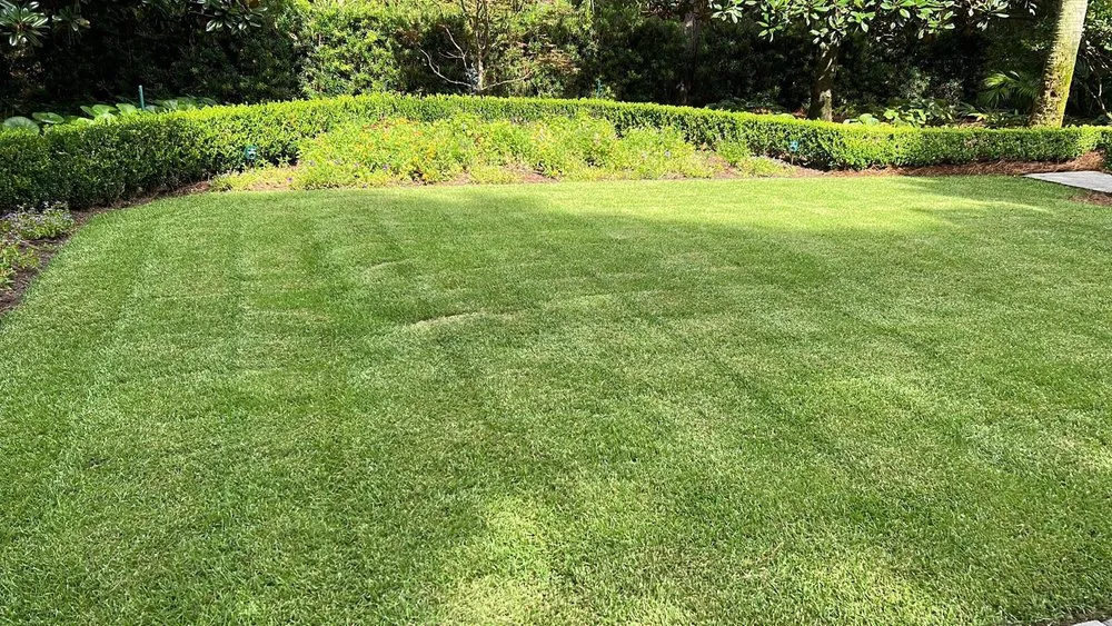 Local residential landscaping in North Charleston, SC - S&I Landscaping