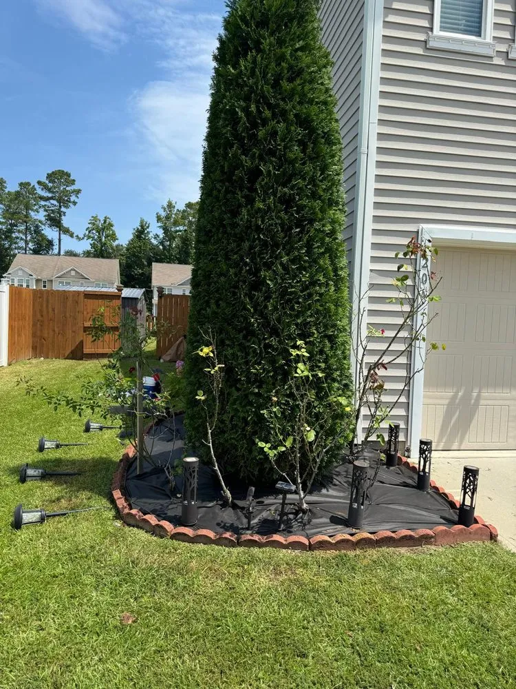 Trusted residential landscaping in North Charleston, SC - S&I Landscaping