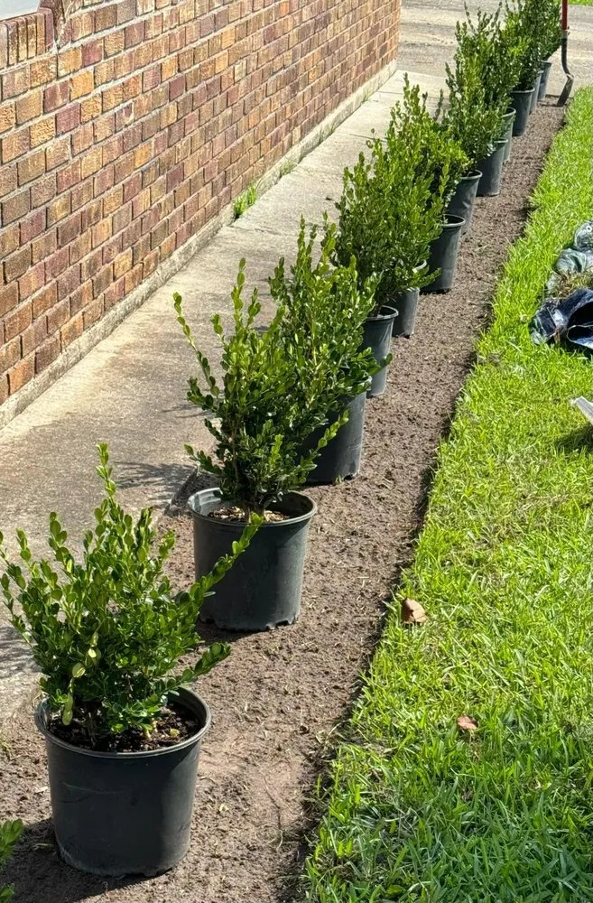 Professional garden landscaping for homes across North Charleston, SC - S&I Landscaping