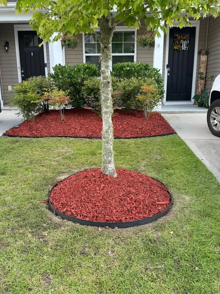 Expert yard cleanup service for year-round maintenance across North Charleston, SC - S&I Landscaping