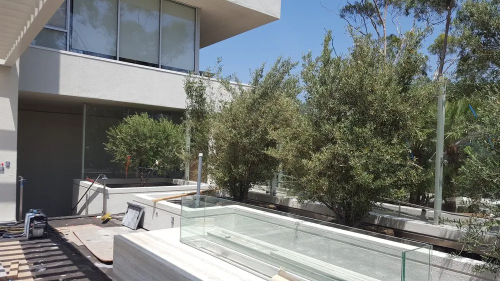 Professional landscaping services for residential properties in Pico Rivera, CA by Siapin Horticulture