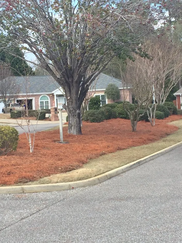 Expert residential landscaping in Dothan, AL by Sibley Lawn Care
