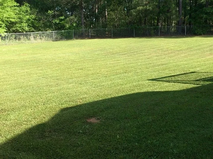 Affordable lawn care service in Dothan, AL - Sibley Lawn Care
