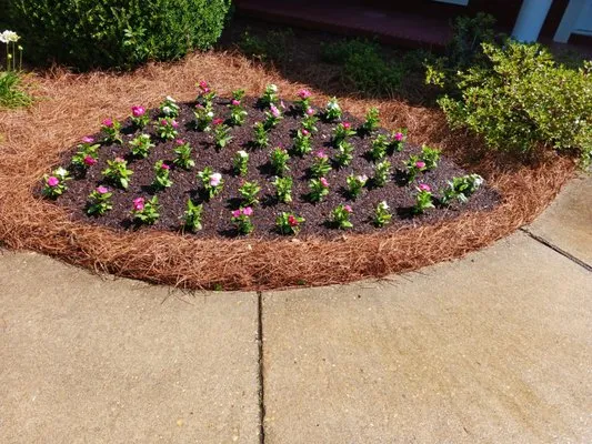 Sibley's Small Landscaping And Irrigation Repair