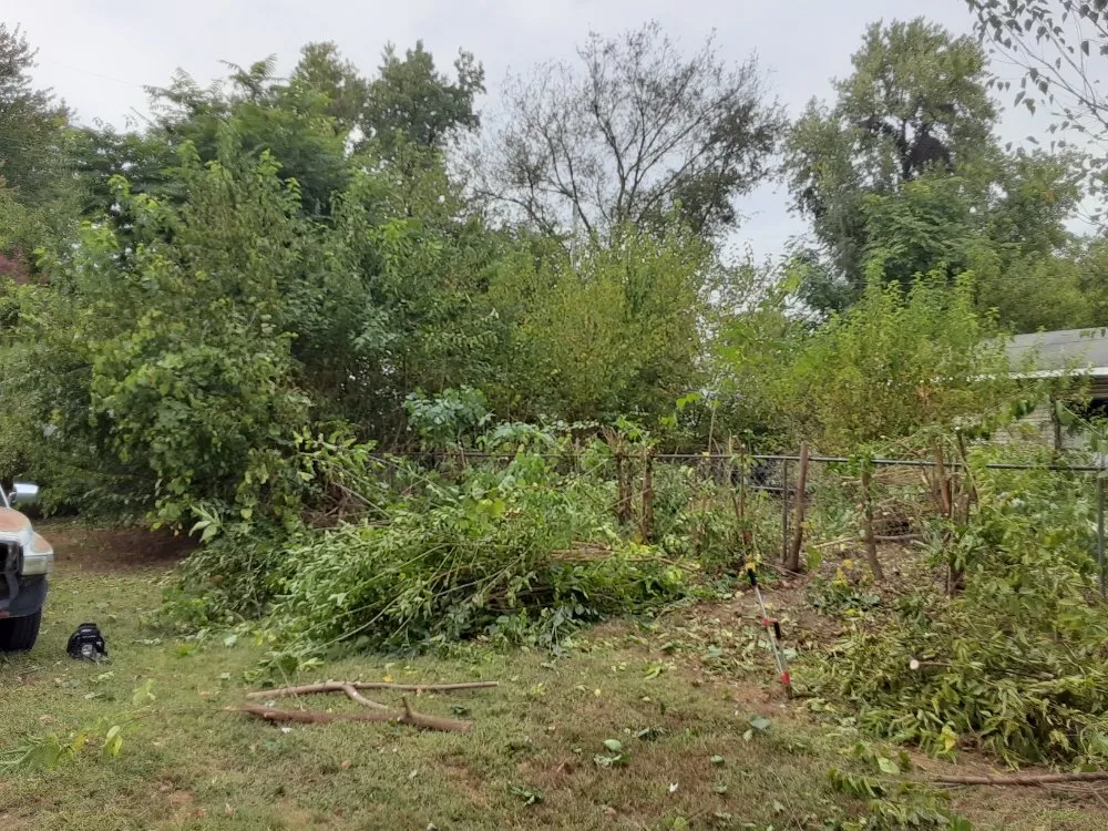 Affordable landscape design in Terre Haute, IN by Sibrinas Lawn Care and Handyman Services