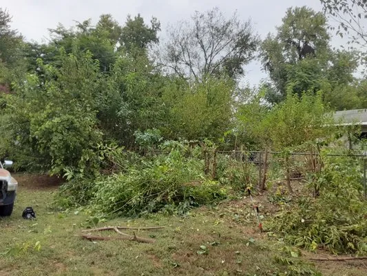 Sibrinas Lawn Care and Handyman Services Logo