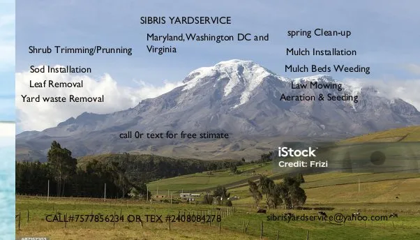 Custom yard cleanup service experts serving Hollywood, MD - Sibris Yard Service