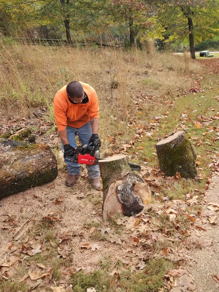 Affordable garden landscaping in Batesville, MS by Side Hustle
