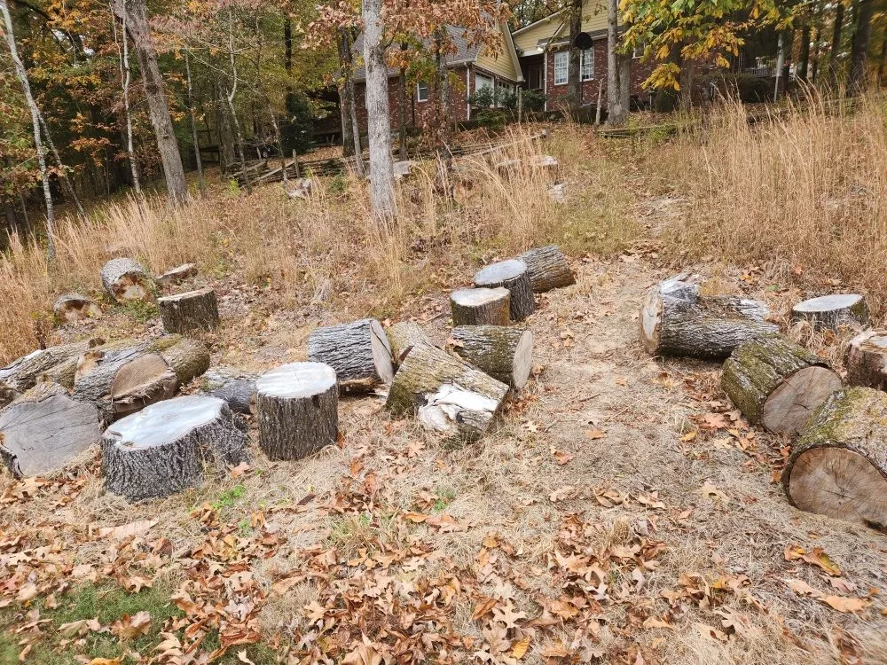 Professional landscape design in Batesville, MS by Side Hustle