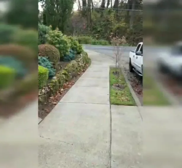 Local outdoor landscaping in Camas, WA by Side Hustle Services