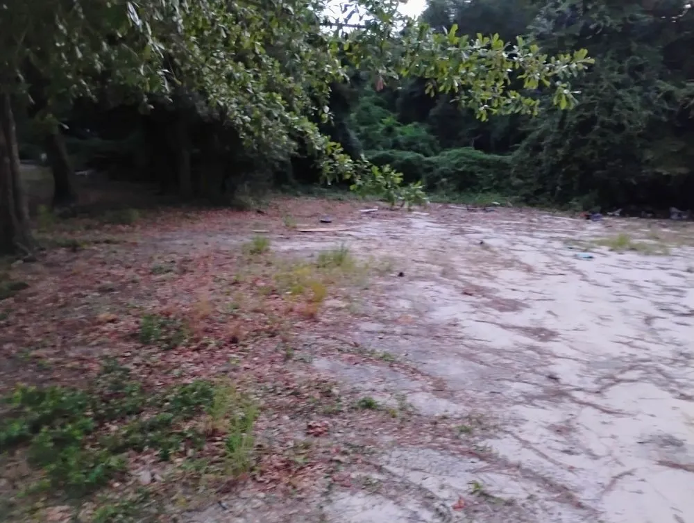 Custom yard cleanup service for beautiful yards across Fayetteville, NC - Side Job Landscape