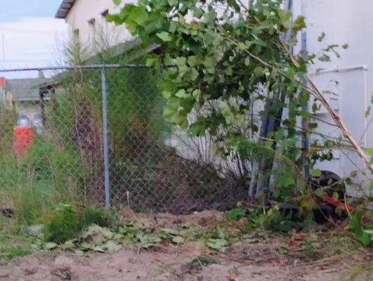 Side Job Landscape Logo