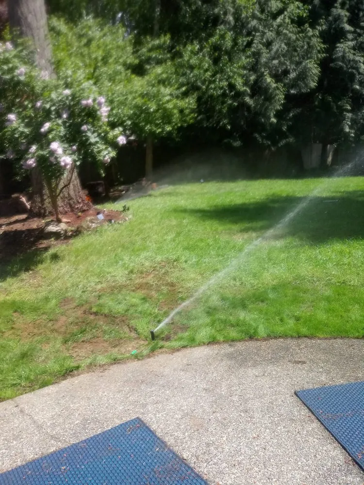 Professional residential landscaping experts serving Bremerton, WA - Siderio Landscaping Lawn Care