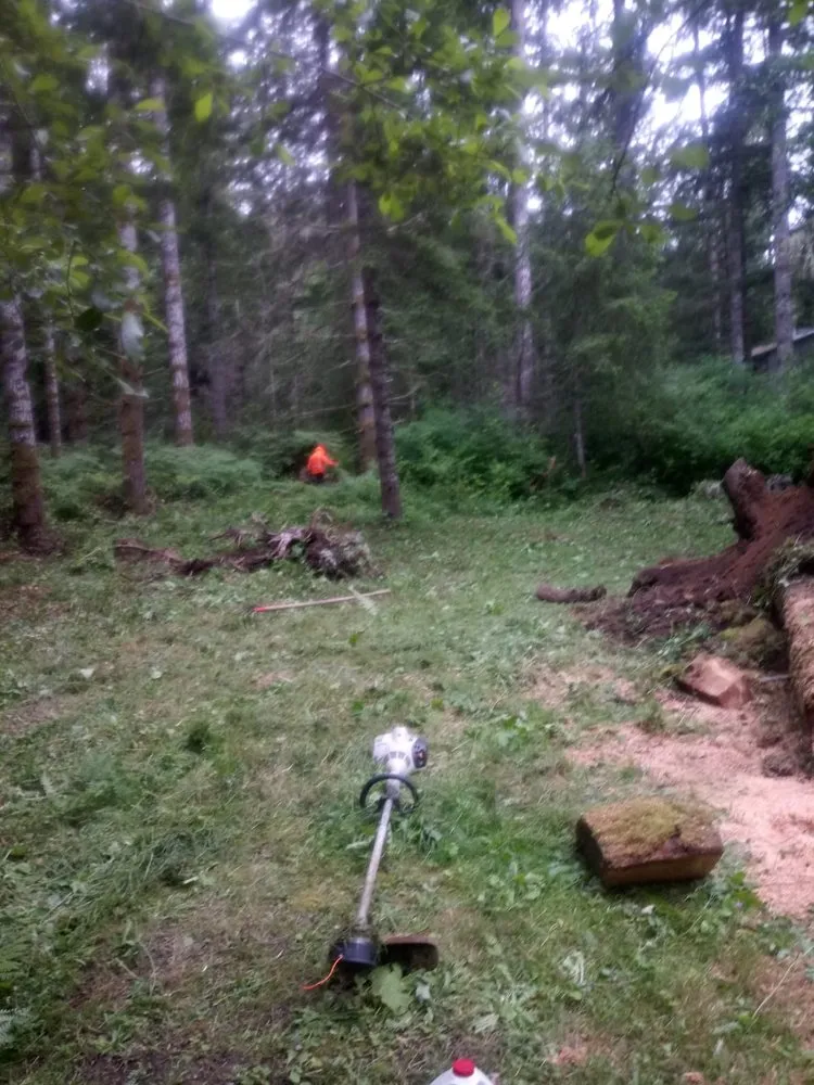 Top-rated landscaping services in Bremerton, WA by Siderio Landscaping Lawn Care