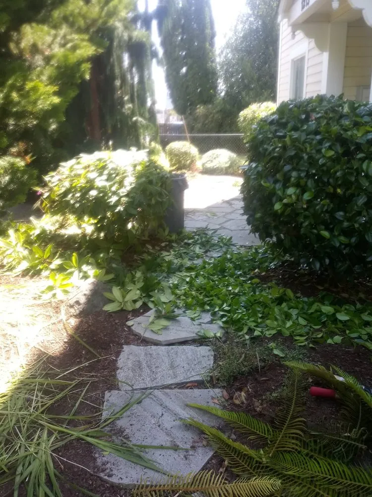 Custom residential landscaping in Bremerton, WA by Siderio Landscaping Lawn Care