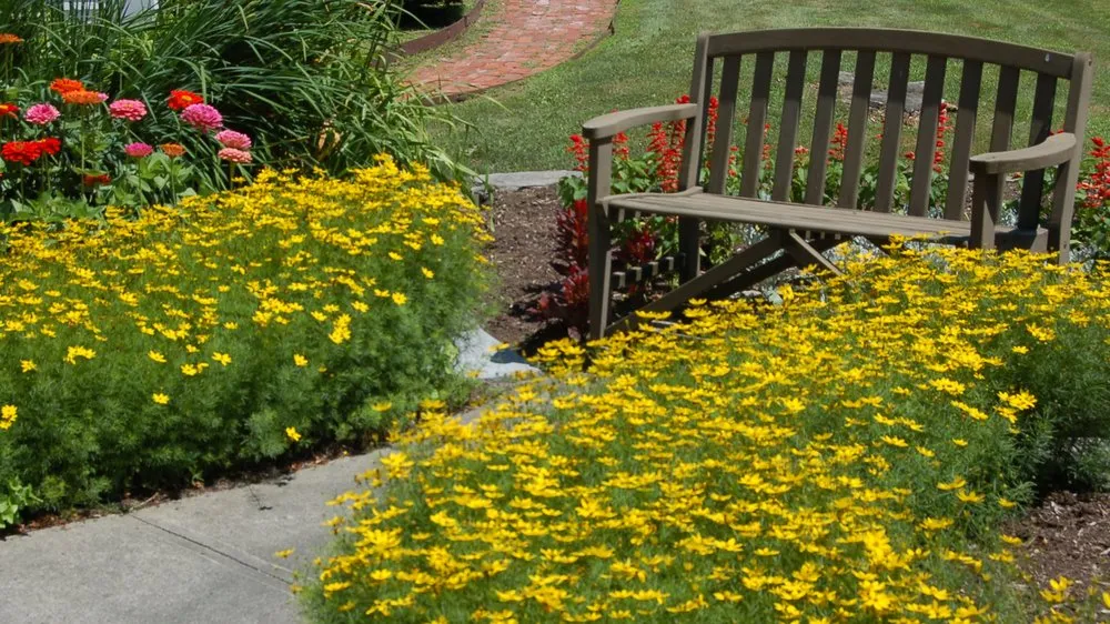 Trusted outdoor landscaping in Bremerton, WA - Siderio Landscaping Lawn Care