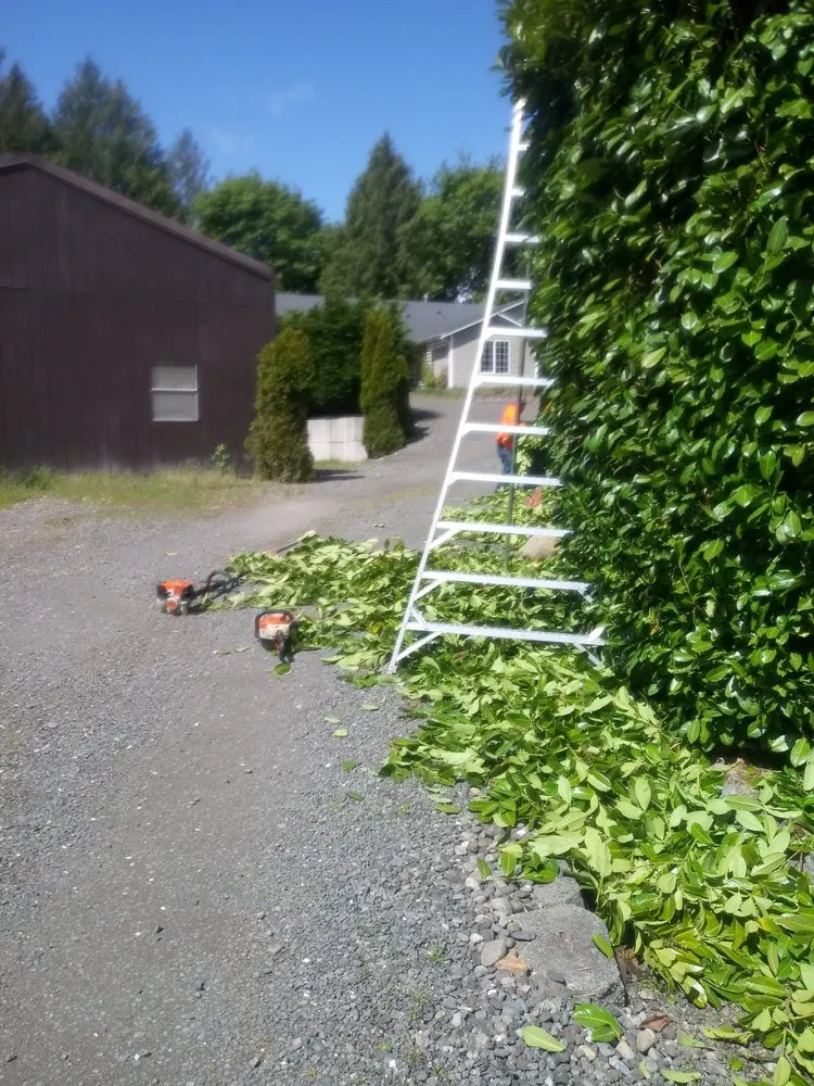Reliable lawn care service near you across Bremerton, WA - Siderio Landscaping Lawn Care