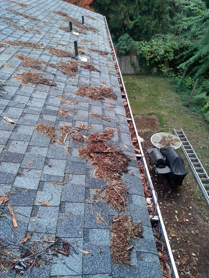 Reliable outdoor landscaping in Bremerton, WA - Siderio Landscaping Lawn Care