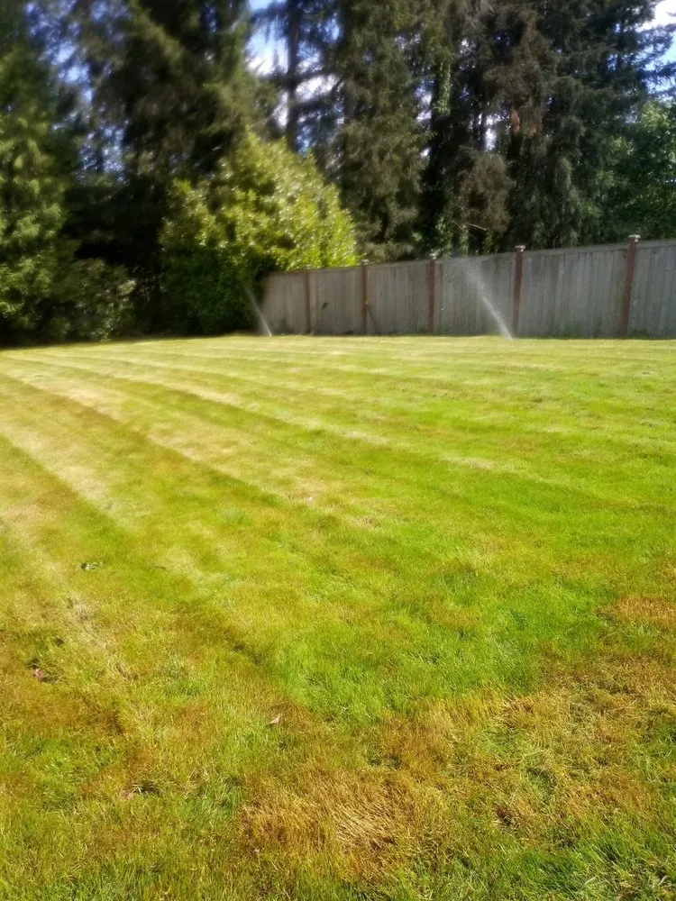 Custom yard cleanup service in Bremerton, WA by Siderio Landscaping Lawn Care