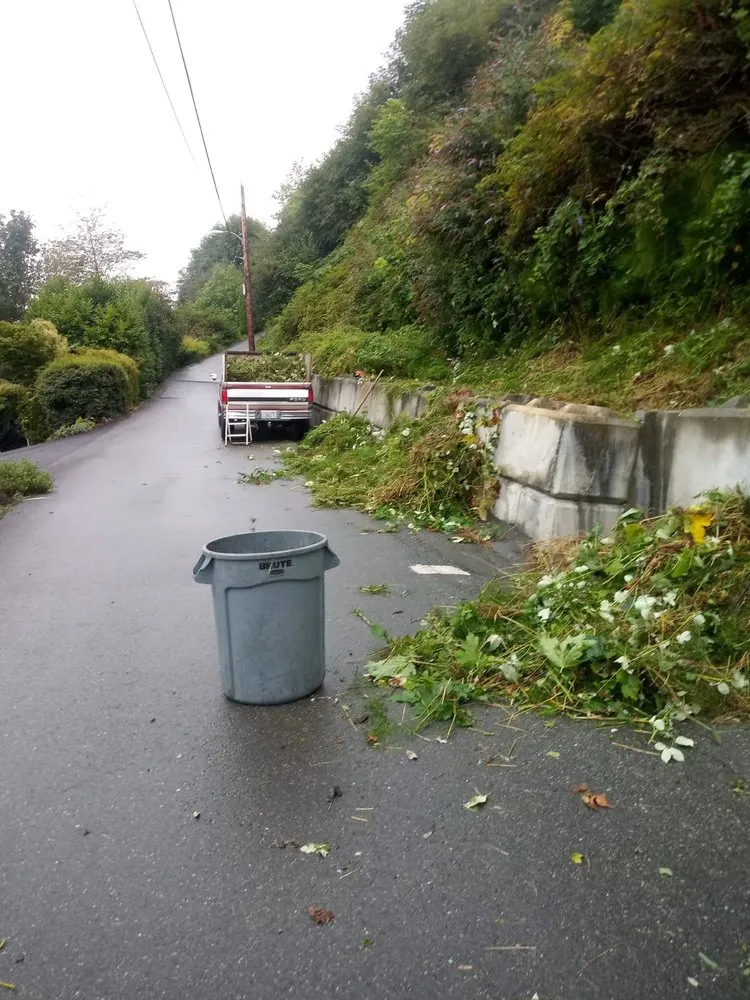 Local yard maintenance in Bremerton, WA by Siderio Landscaping Lawn Care
