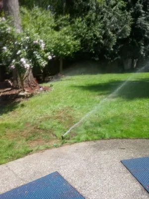 Siderio Landscaping Lawn Care Logo