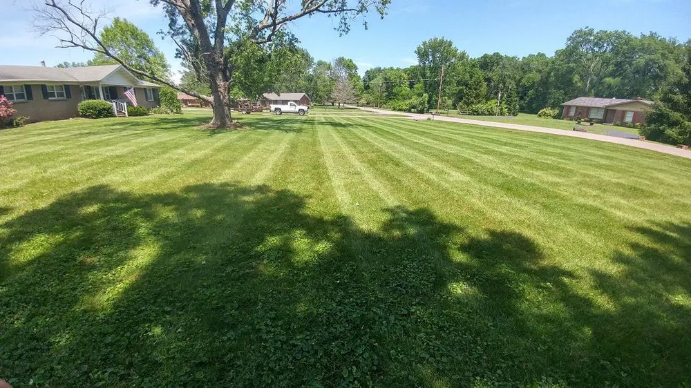 Local landscape design for outdoor upgrades across Cary, NC - Sidescape Lawn Service