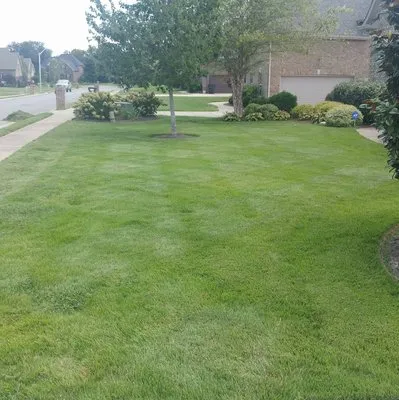 Sidescape Lawn Service Logo