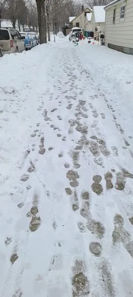 Reliable outdoor landscaping with custom design in Bloomington, MN by Sideways landscaping