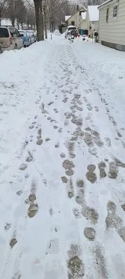 Sideways landscaping Logo