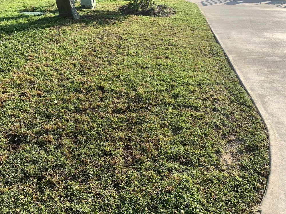 Affordable outdoor landscaping for residential properties across Livingston, LA - Sid's Lawn Care