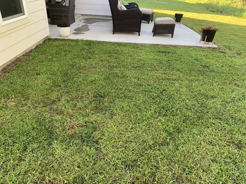 Professional yard cleanup service for year-round maintenance across Livingston, LA - Sid's Lawn Care