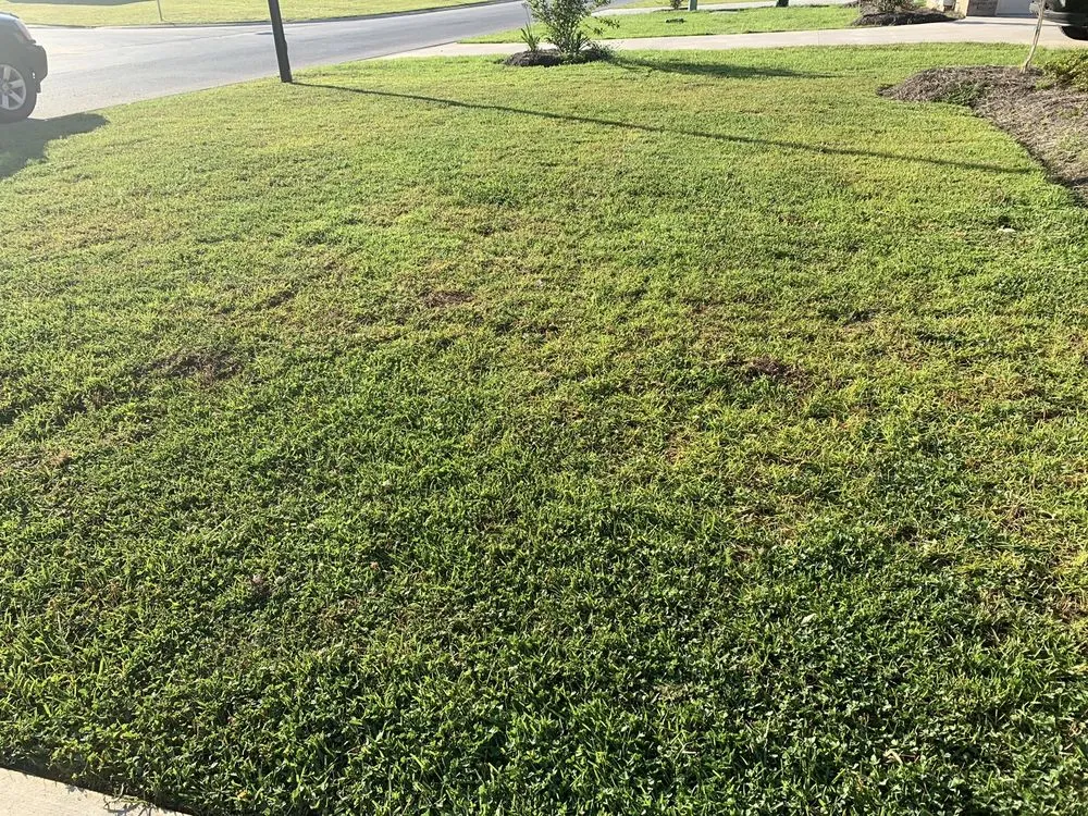 Expert lawn care service for beautiful yards across Livingston, LA - Sid's Lawn Care