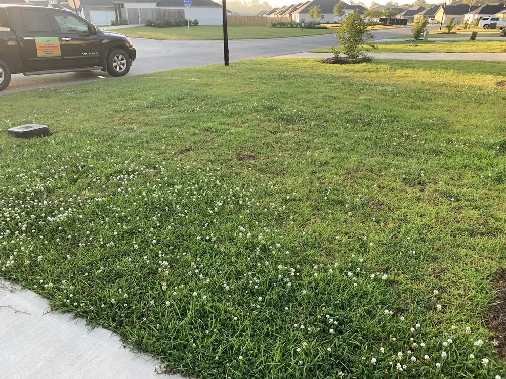 Professional landscape installation experts serving Livingston, LA - Sid's Lawn Care