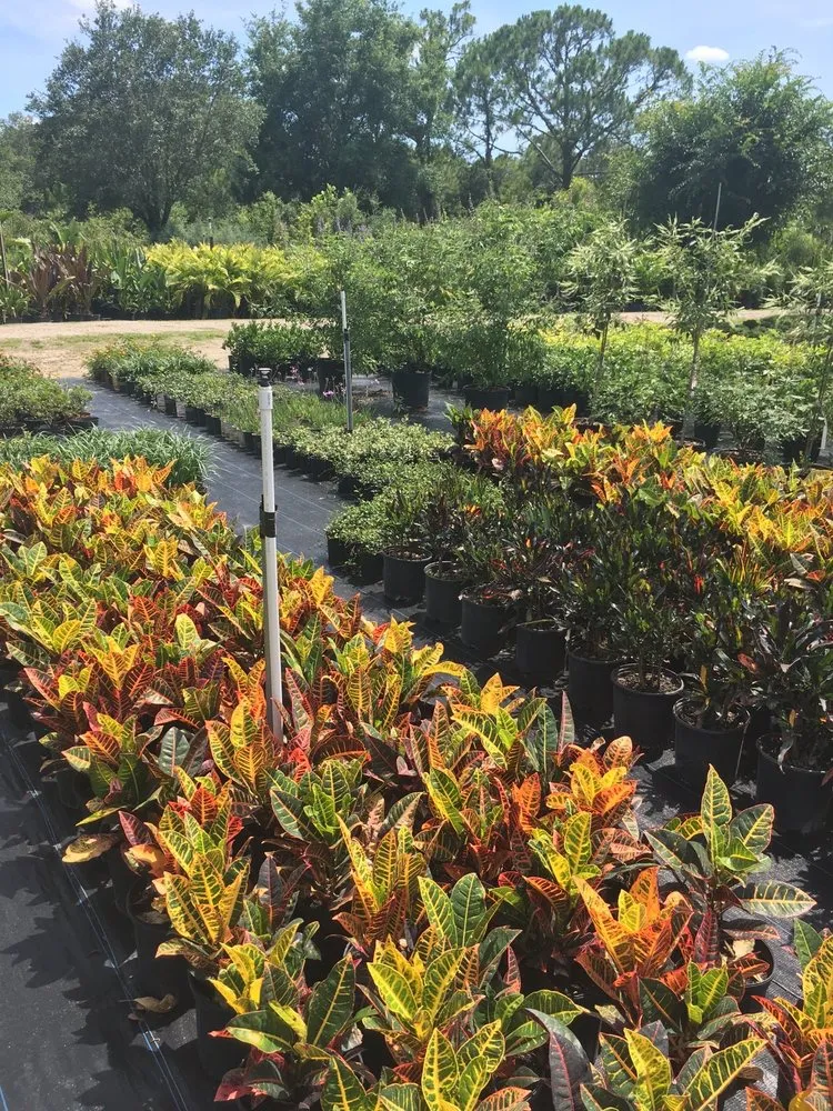 Custom lawn care service experts serving Orlando, FL - Sieffert's Nursery