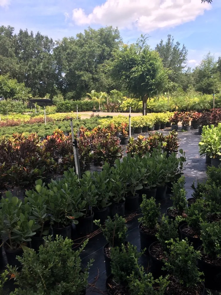 Local yard maintenance for homes across Orlando, FL - Sieffert's Nursery