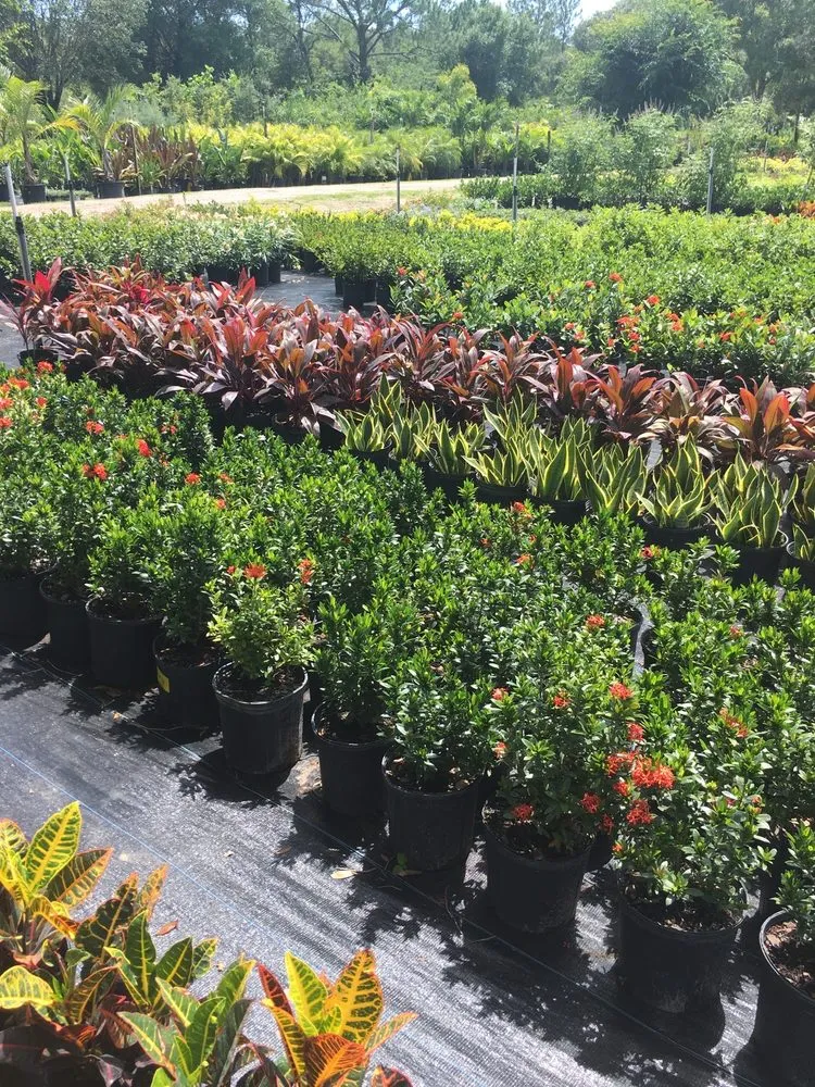 Expert residential landscaping in Orlando, FL - Sieffert's Nursery