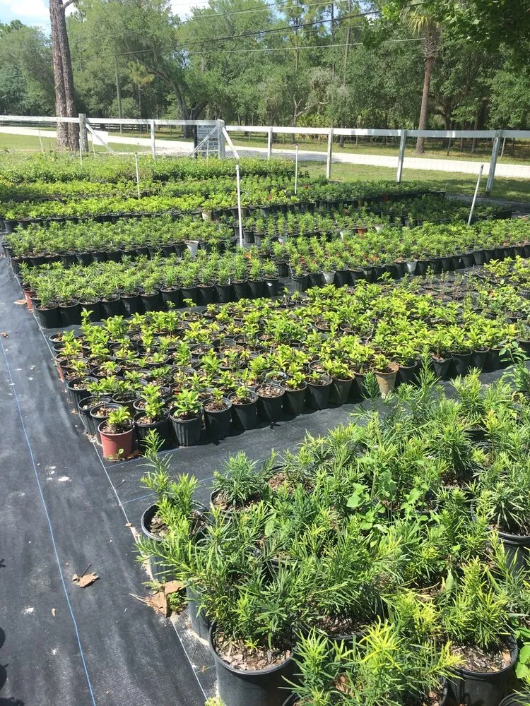 Expert landscaping services with custom design across Orlando, FL - Sieffert's Nursery