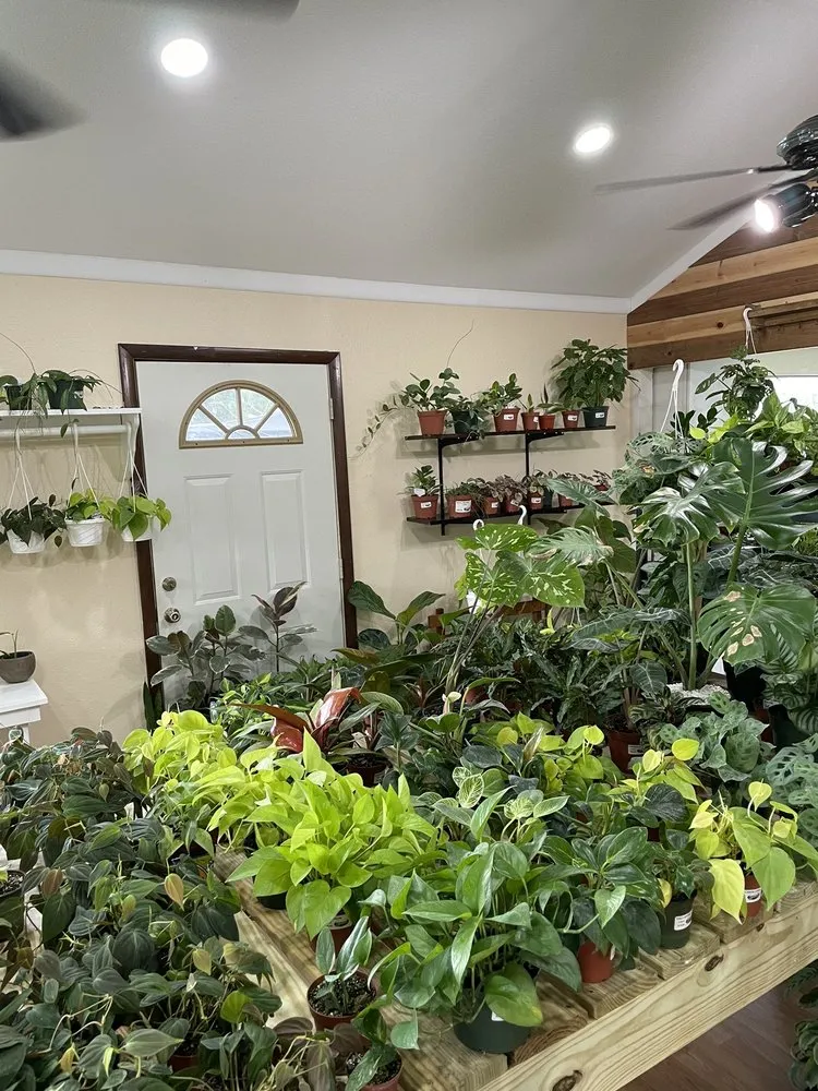 Custom outdoor landscaping experts serving Orlando, FL - Sieffert's Nursery